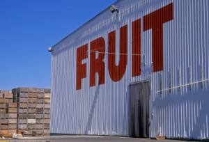 ProcessingiStock_000008676113XSmall